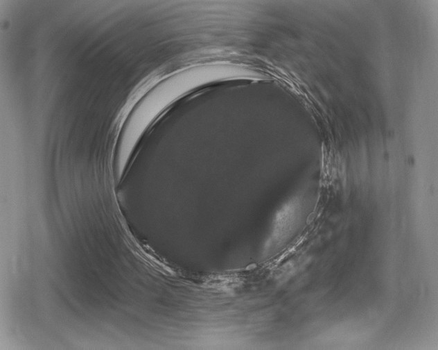X0000080770099200612151444