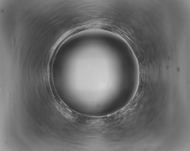 X0000080770100200612151444