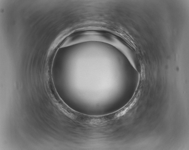 X0000080770101200612151444
