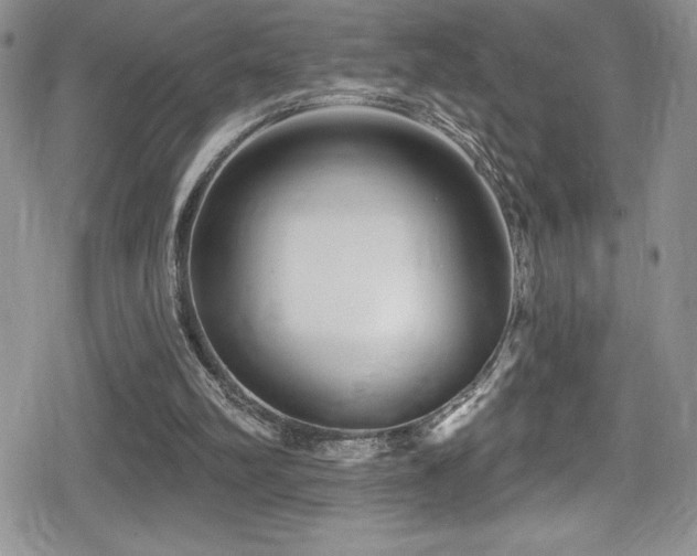 X0000080770102200612151444