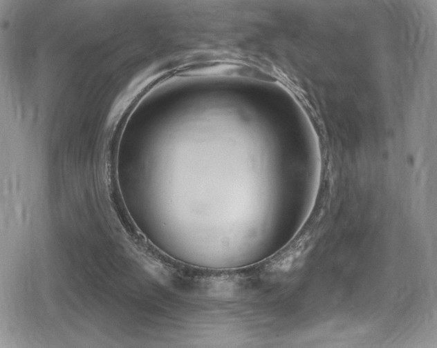 X0000080770103200612151444