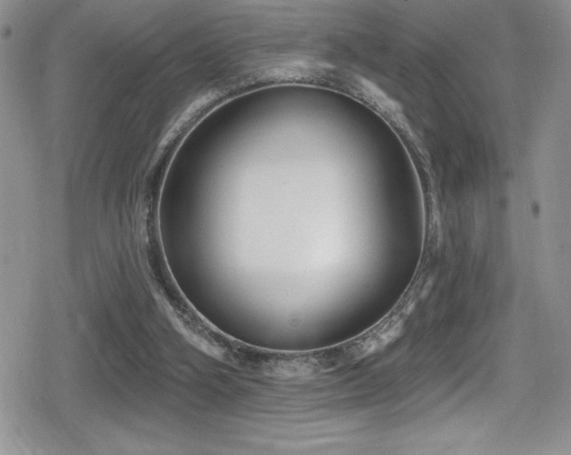X0000080770106200612151444