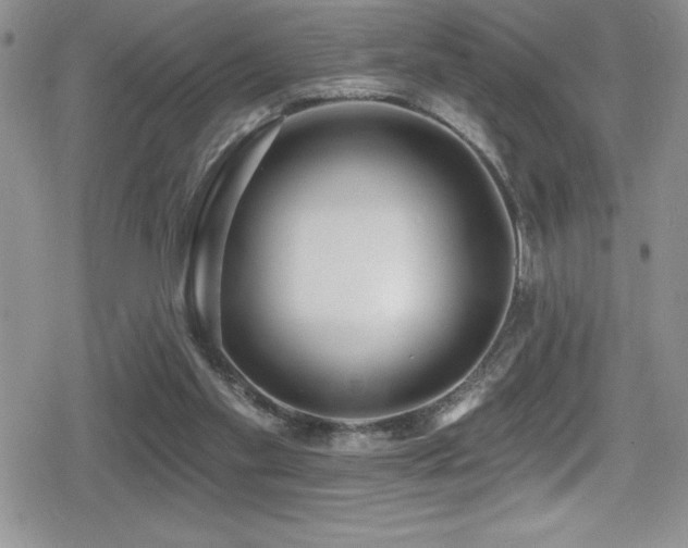 X0000080770109200612151444