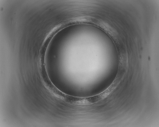X0000080770112200612151444
