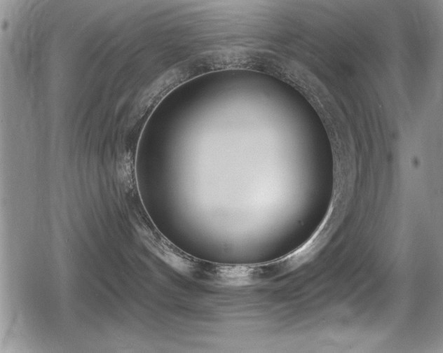 X0000080770144200612151444