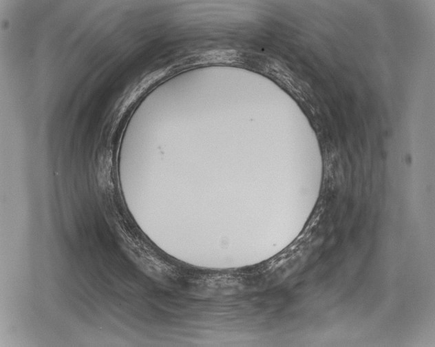 X0000080770146200612151443