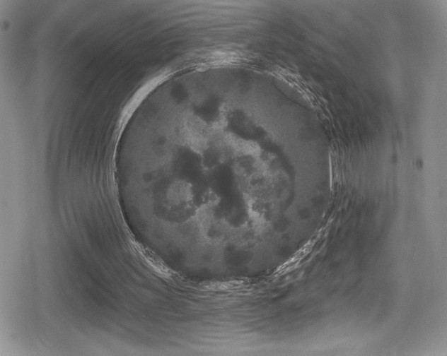 X0000080770147200612151443