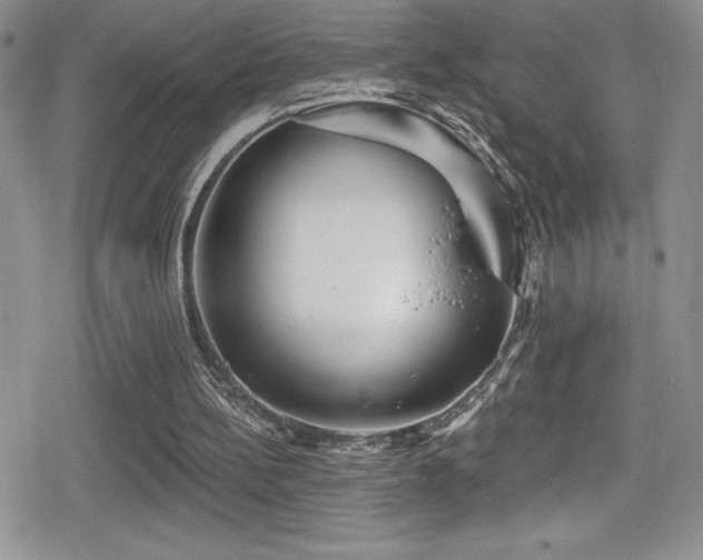 X0000080770148200612151443