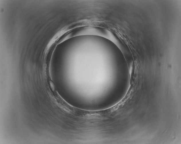 X0000080770150200612151443