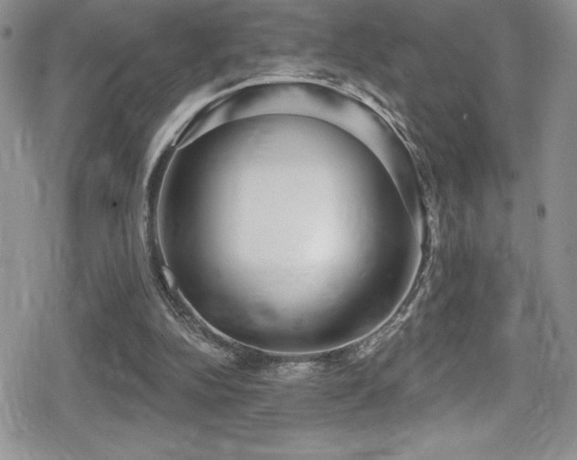 X0000080770152200612151443
