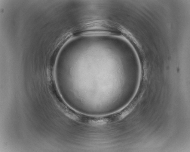 X0000080770161200612151443