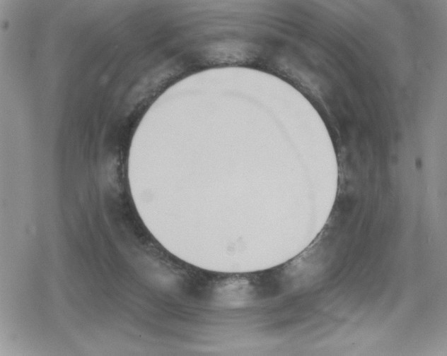 X0000080770162200612151443