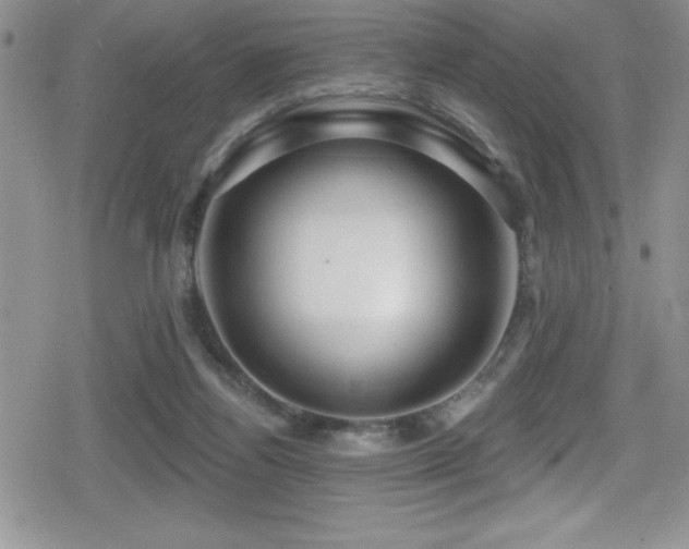 X0000080770164200612151443