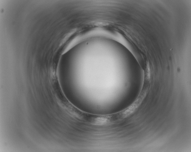 X0000080770176200612151443