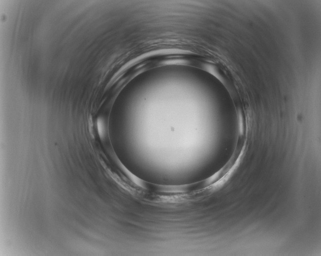 X0000080770190200612151444