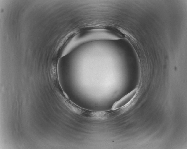X0000080770192200612151444