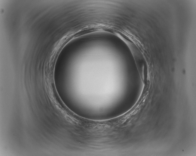 X0000080770193200612151443