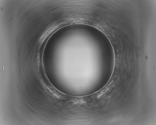 X0000080770194200612151443