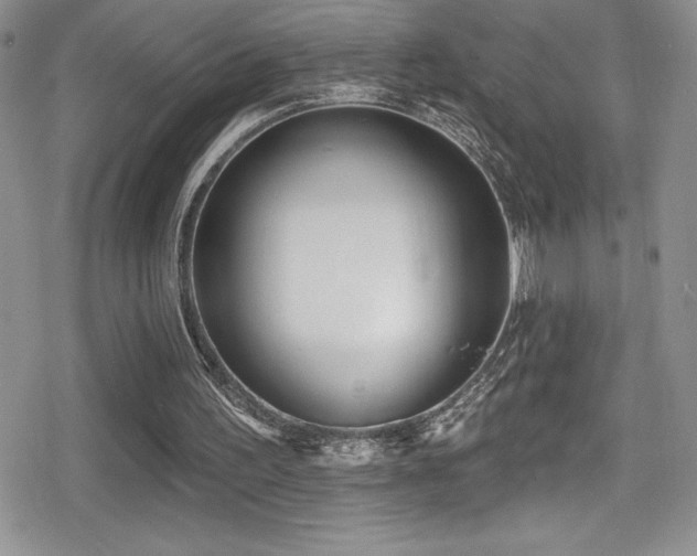 X0000080770195200612151443