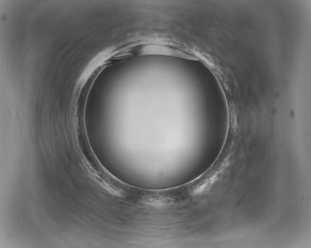 X0000080770199200612151443