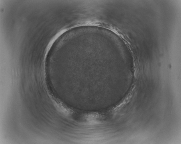X0000080770200200612151443