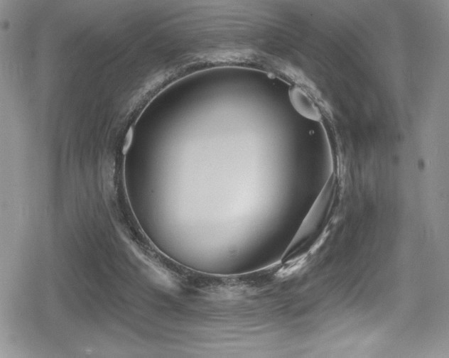 X0000080770201200612151443