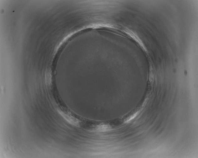 X0000080770204200612151443