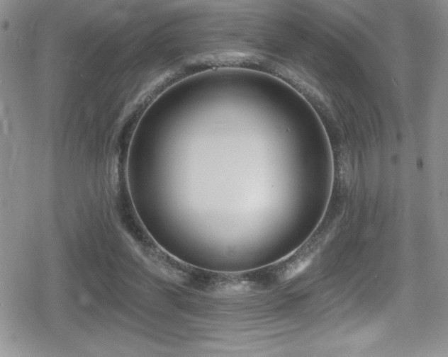 X0000080770206200612151443