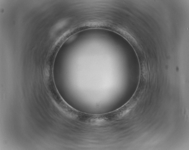 X0000080770208200612151443