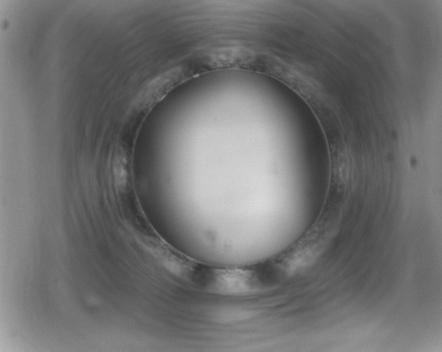 X0000080770226200612151442
