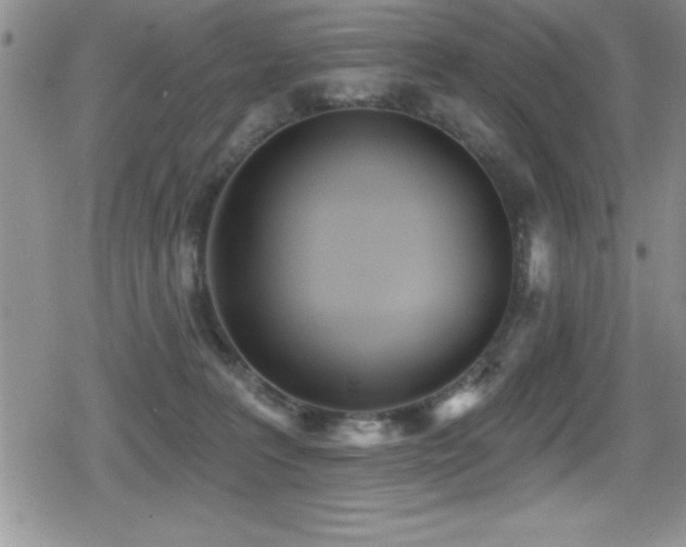X0000080770227200612151442