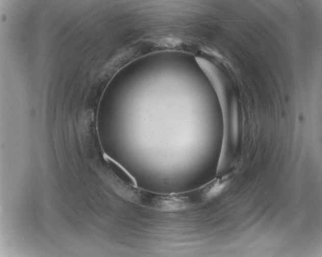 X0000080770229200612151442