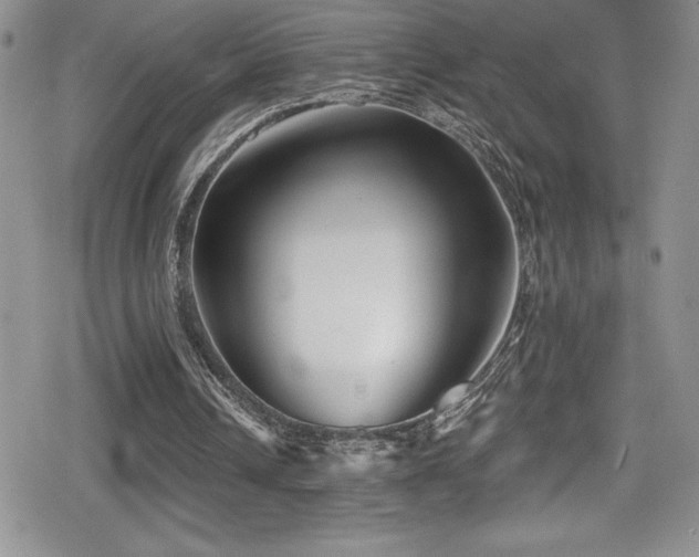 X0000080770242200612151441