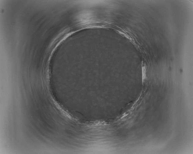 X0000080770243200612151441
