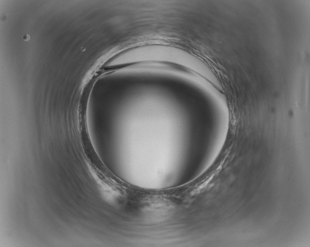 X0000080770244200612151441