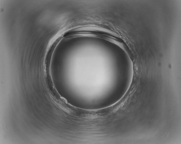 X0000080770246200612151441