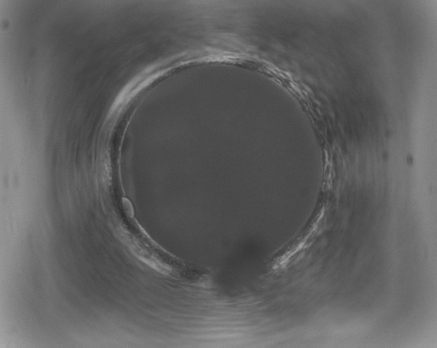 X0000080770247200612151441
