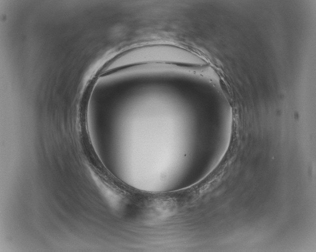 X0000080770248200612151442