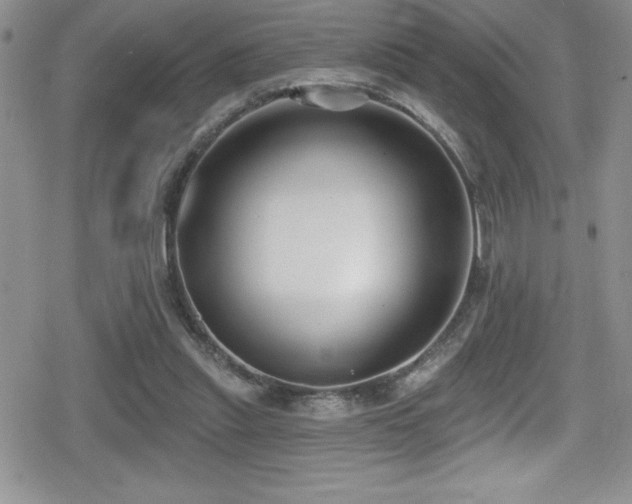 X0000080770253200612151442