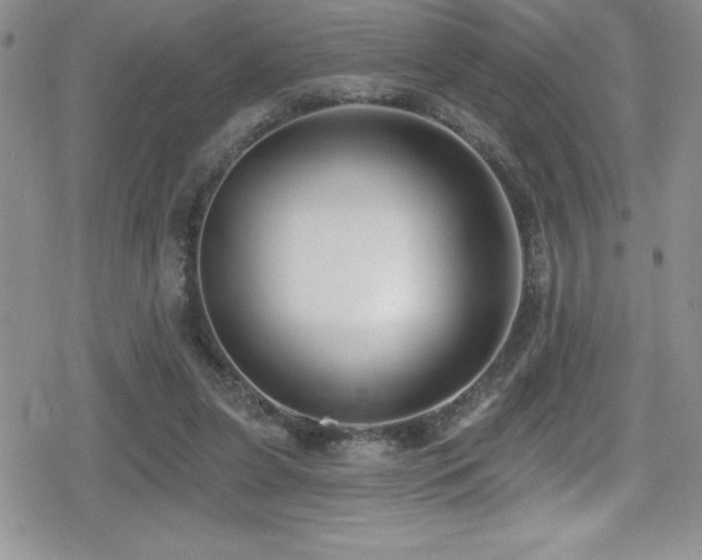 X0000080770255200612151442