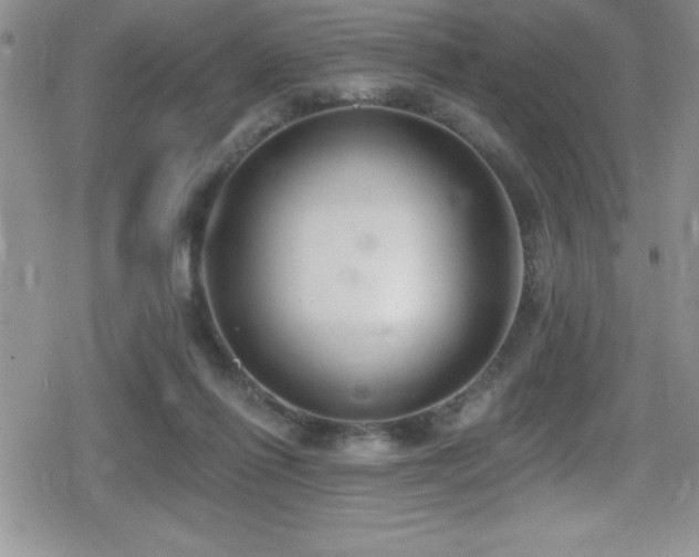 X0000080770262200612151442