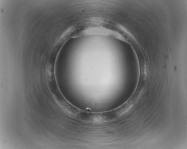 X0000080770264200612151442