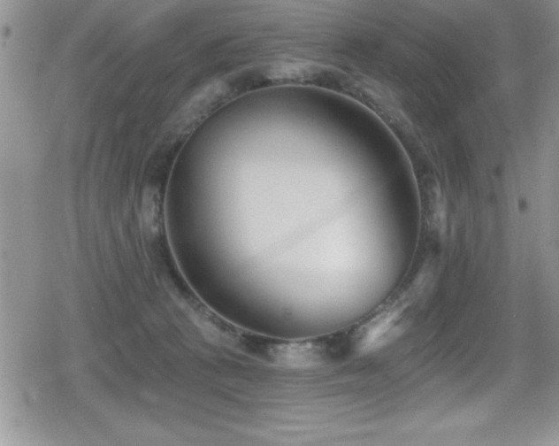 X0000080770273200612151442