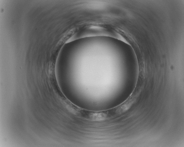 X0000080770277200612151442