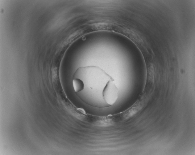 X0000080770278200612151442