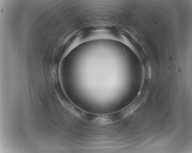 X0000080770280200612151442