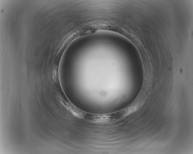 X0000080770288200612151442