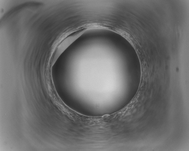 X0000080770289200612151441