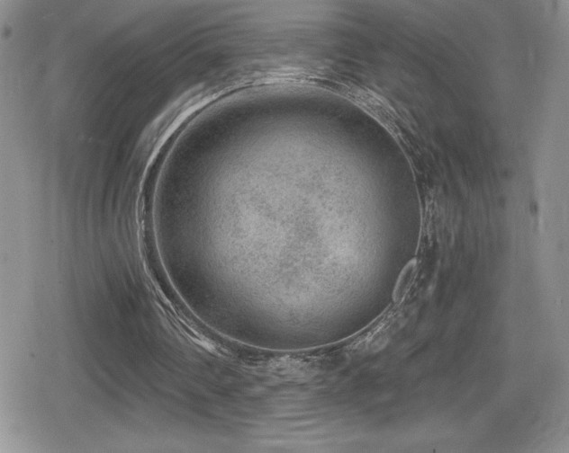 X0000080770290200612151441
