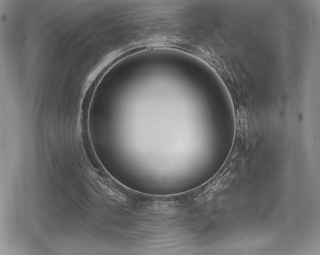 X0000080770292200612151441